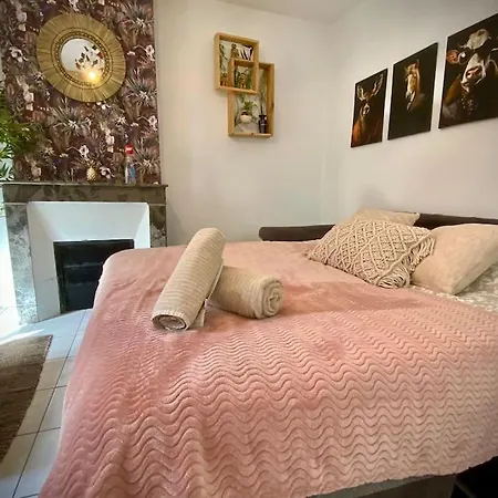 Detente Tropicale 公寓 *