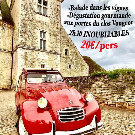 Detente Tropicale Lägenhet Dijon