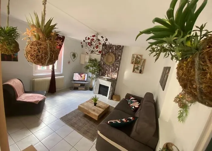 Detente Tropicale Dijon