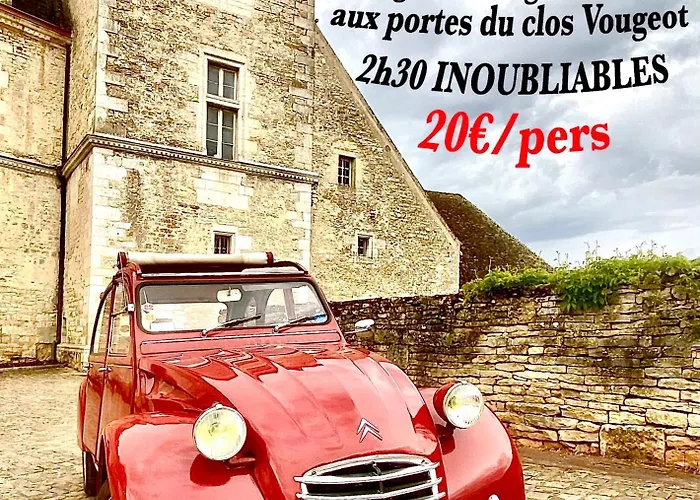 Detente Tropicale Apartamento Dijon